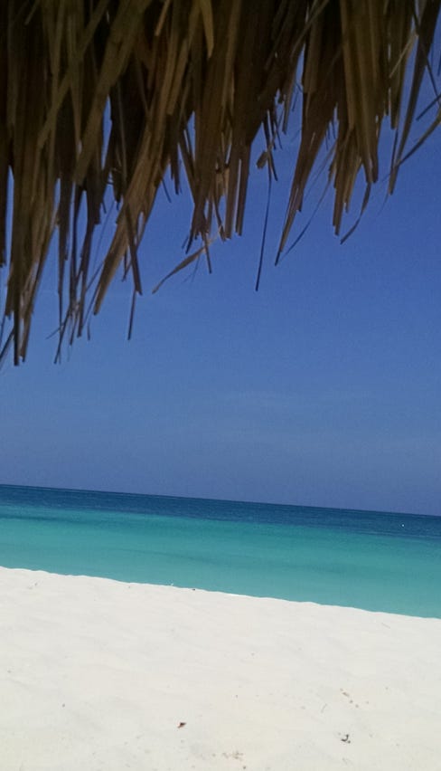 from the top of the photo: dried grass from the sun umbrella above, blue sky, green-blue sea, white sand