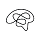 Thinking Minds