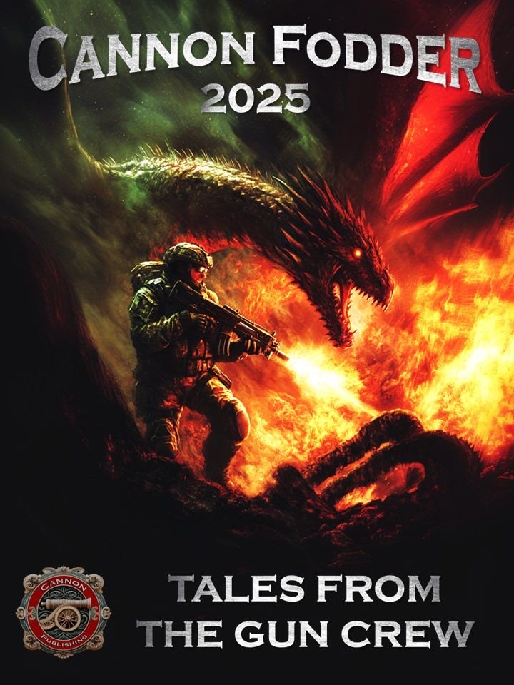May be an image of 1 person and text that says 'CANNON FODDER 2025 CANNON ANNON ្នារ្វូ ១ G TALES FROM THE GUN THEGUNCREW CREW'