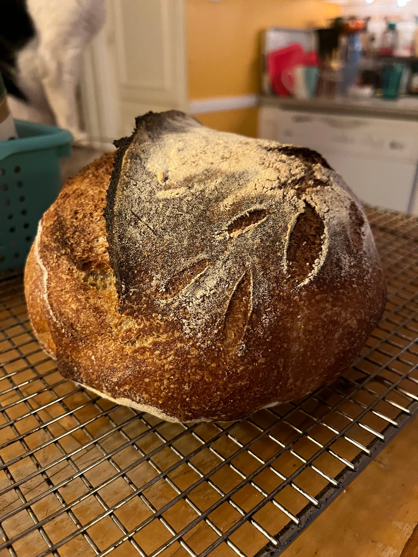 A round loaf of sourdough cooling on a wire rack on my kitchen counter