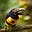 Bird's avatar