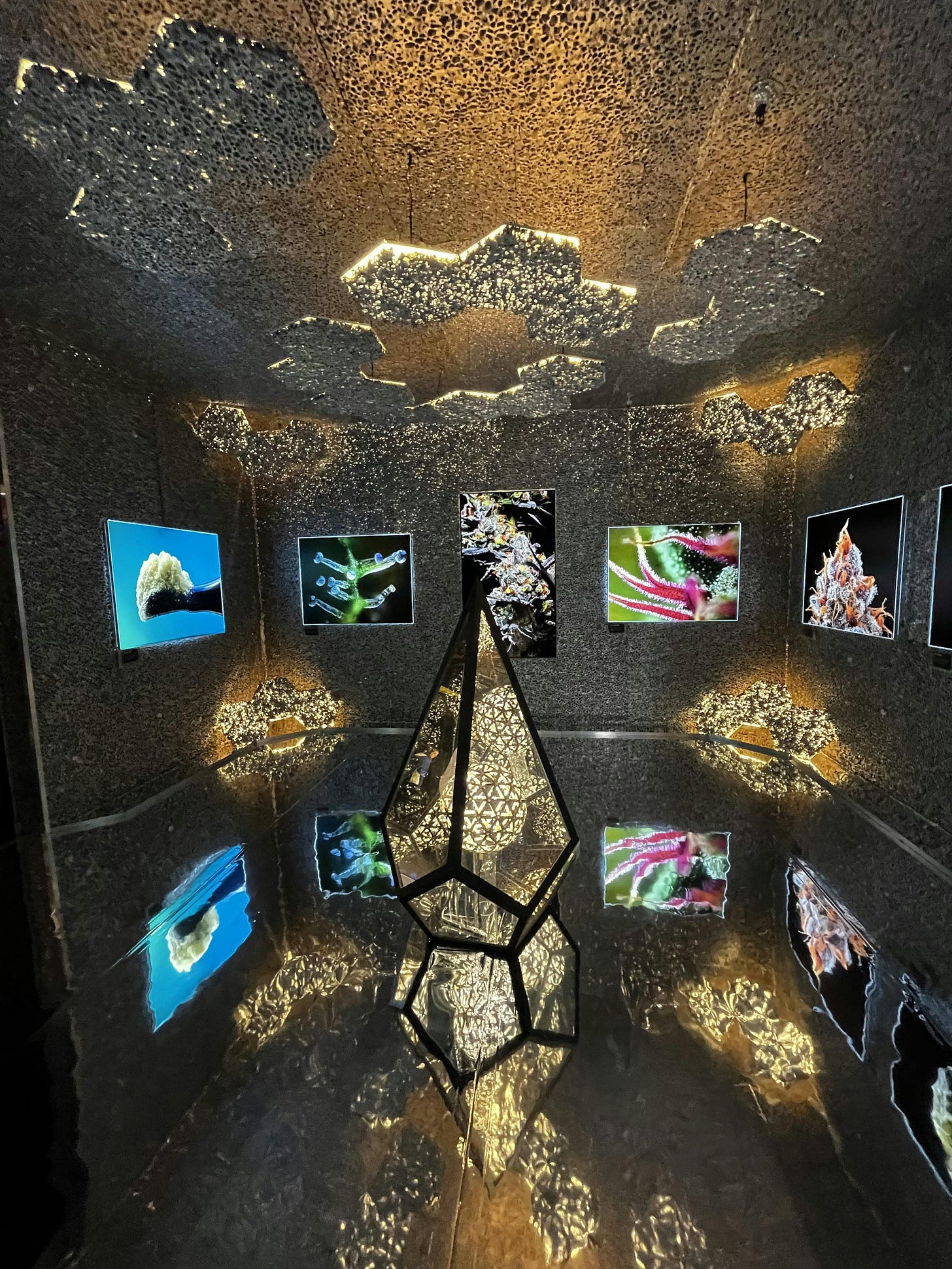 039: The Truth Shall Set You Free 039: The Truth Shall Set You Free