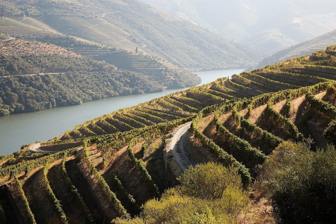 Douro Vinhateiro