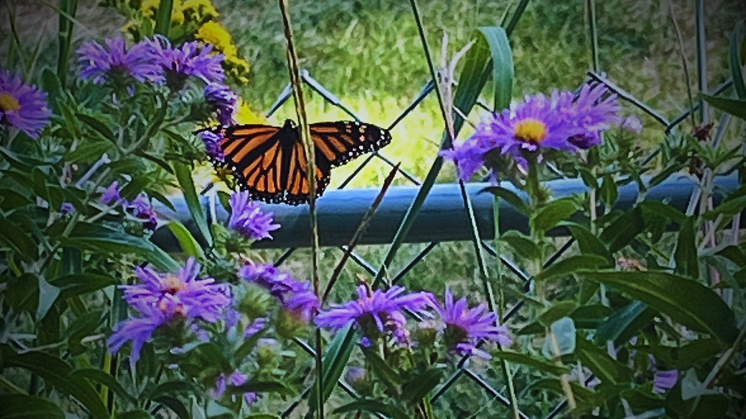 at autumn's threshold