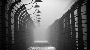 Historic Section of Concrete and Wire Fence Line – from the Infamous  Auschwitz-Birkenau Concentration Camp - Union Station