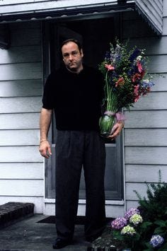 This contains an image of: 