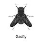 Hollywood Gadfly's avatar