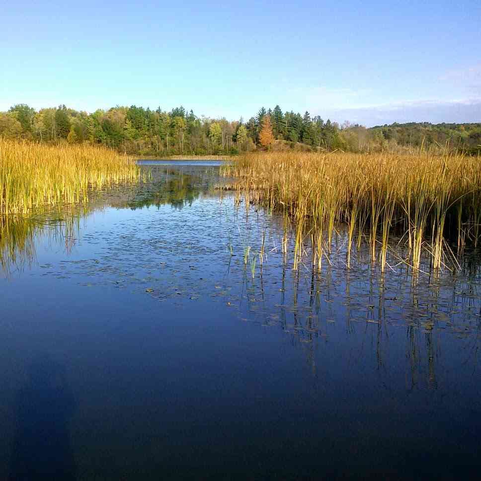Water Trails Around Rochester NY Thousand Acre Pond in Mendon Ponds
