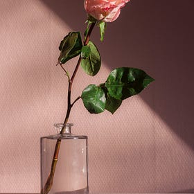 A Heart Mirror