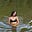 jelena ✽'s avatar