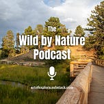 The Art of Exploration