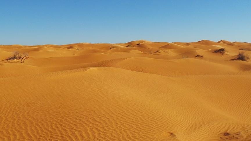 Bodies of 27 migrants, including children, found in Chadian desert: UN