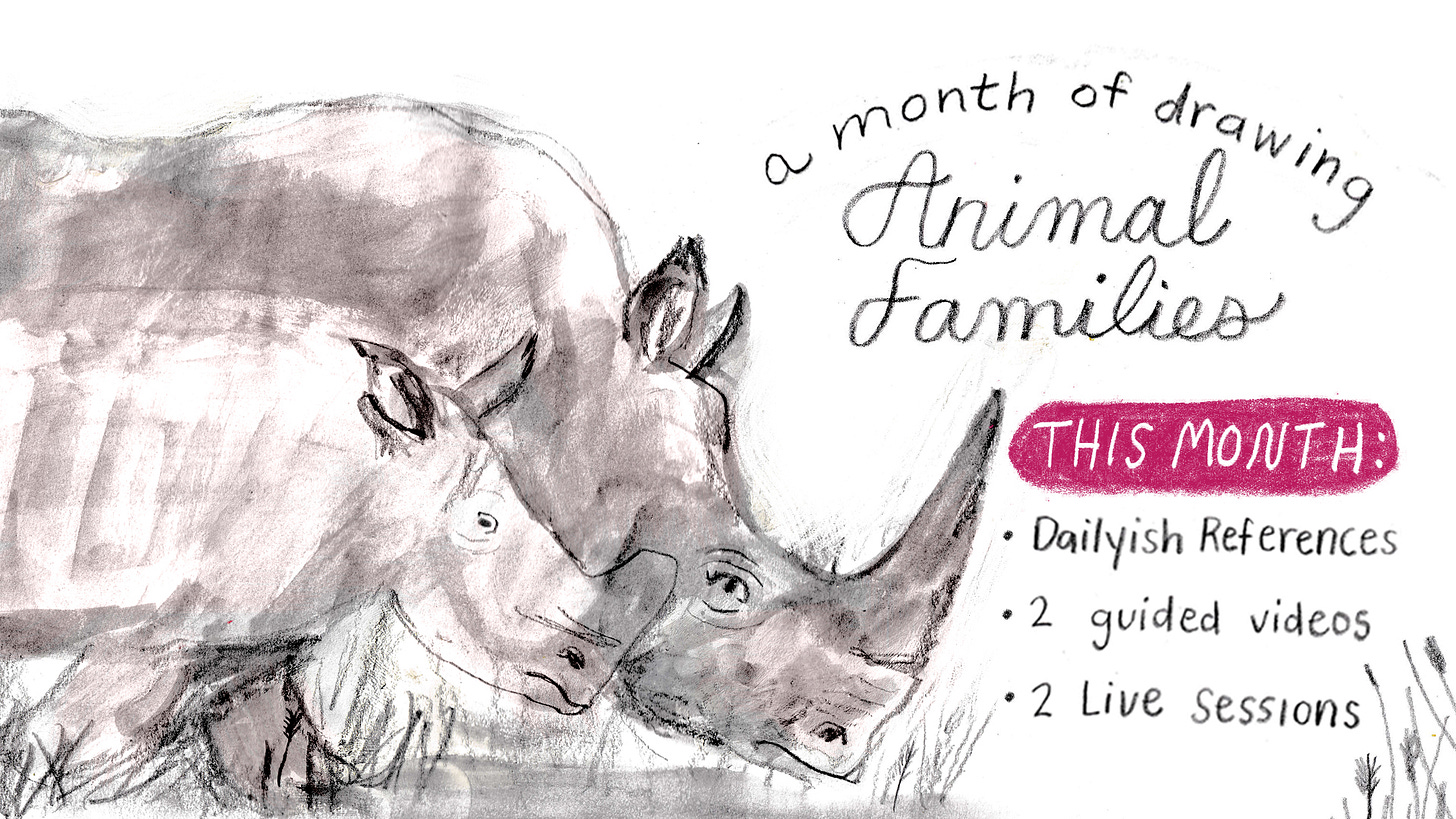 rhinos illustrated by Beth Spencer