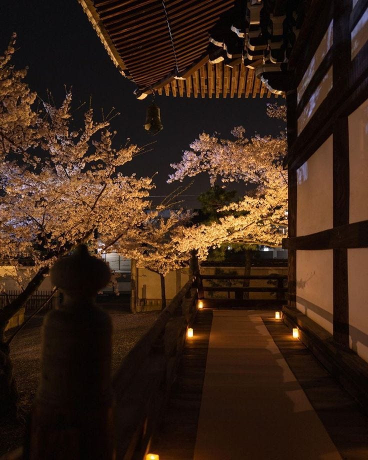 This may contain: some lights that are on the side of a building and trees with flowers in bloom