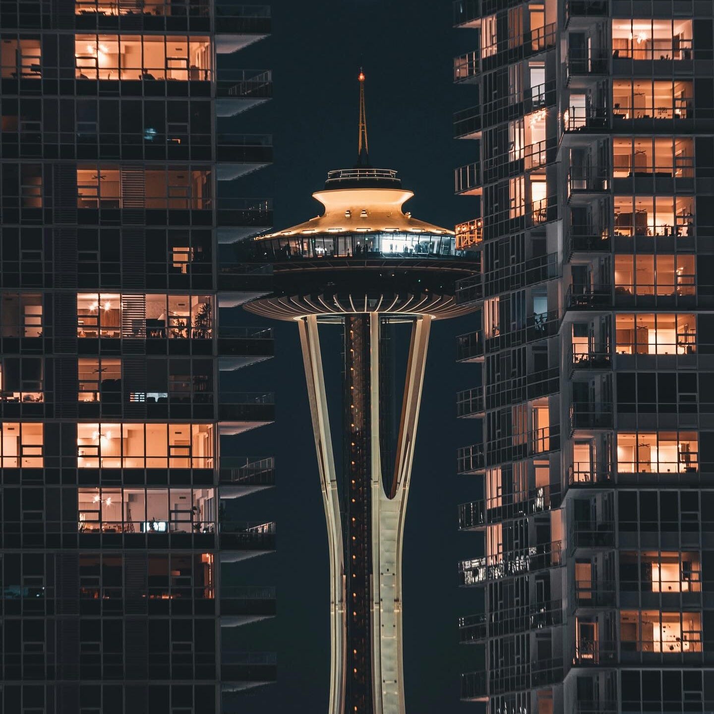 Notes from the War on Meaning