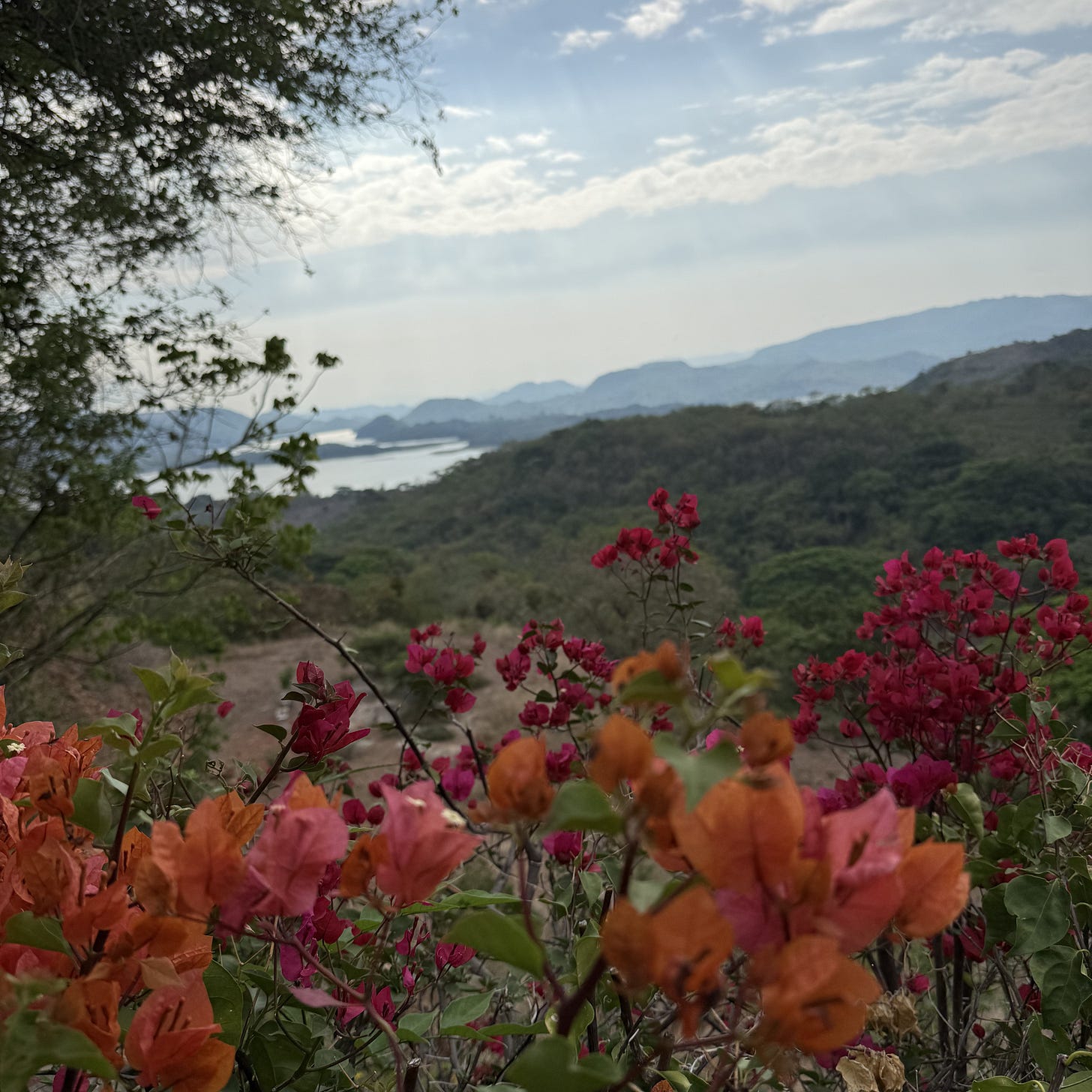 View of lake from Sochitoto View of lake from Sochitoto
