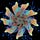 Threads from the Pluriverse