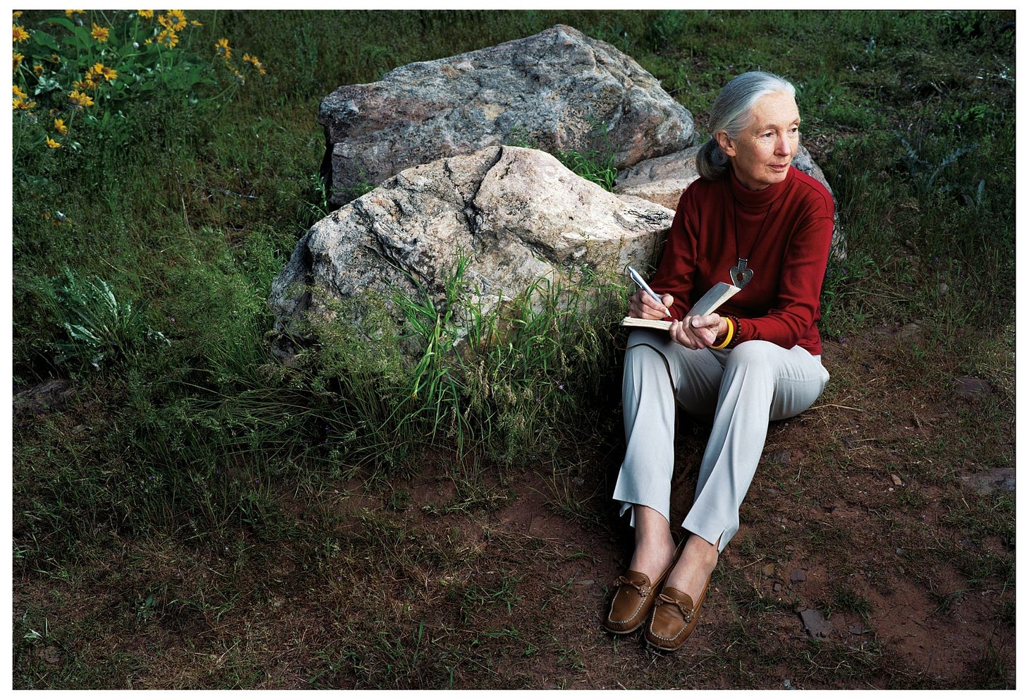 Celebrated Conservationist and Chimpanzee Expert Jane Goodall Is Dead at 91  | Vogue