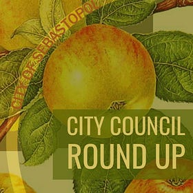 What else happened at the Sebastopol City Council meeting?