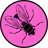 Ghega Newsletter