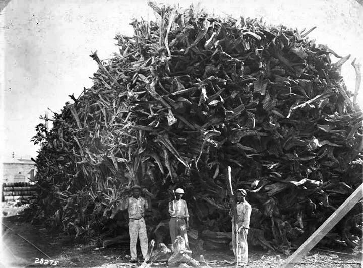 Photos show “freed” Jamaicans at the turn of the Century… Photos show “freed” Jamaicans at the turn of the Century…