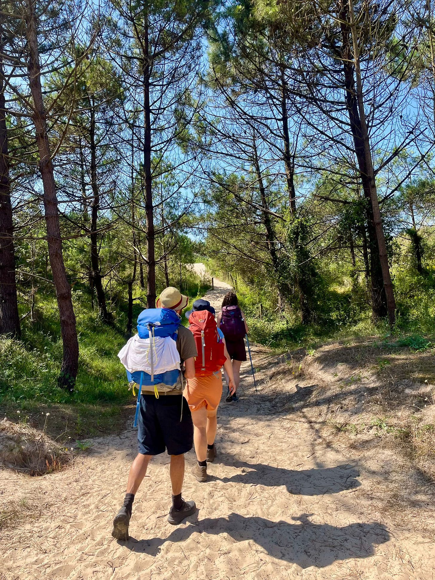 Three people carrying big backpacks walking away from the camera, down a sandy path between trees