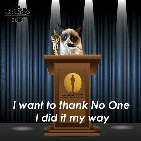 Grumpy Cat at the Academy Awards