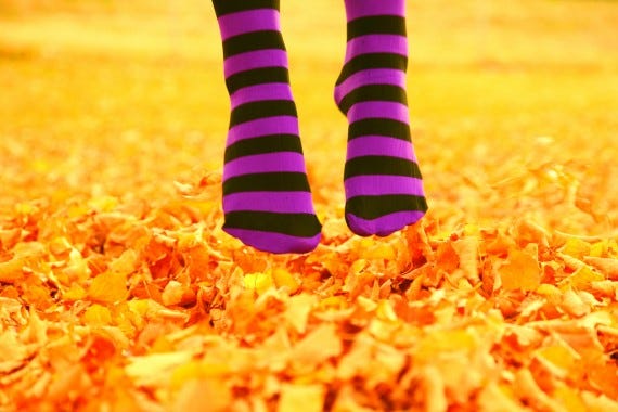 Bold Writer Socks in air