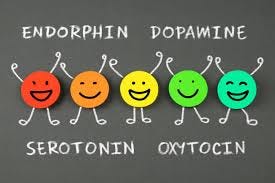 1,200+ Serotonin Dopamine Stock Photos ...