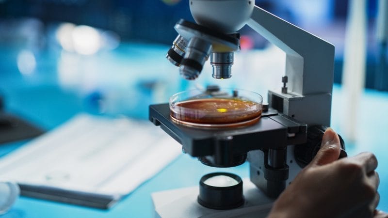 What Broke University Science? What Broke University Science?