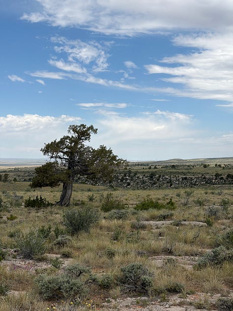 Images of the author’s time hiking, horseback riding, camping, fihsing, etc. in and around Laramie, WY