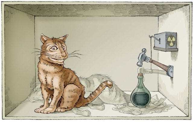 Schrödinger's Cat – Fr. Edward