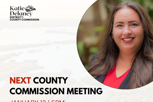 Commissioner Katie Delaney | Kristin Lortie | Substack