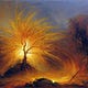 Letters from the Burning Bush