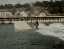 Jump The Shark Gif GIFs | Tenor