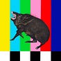 Julia LaTray's avatar