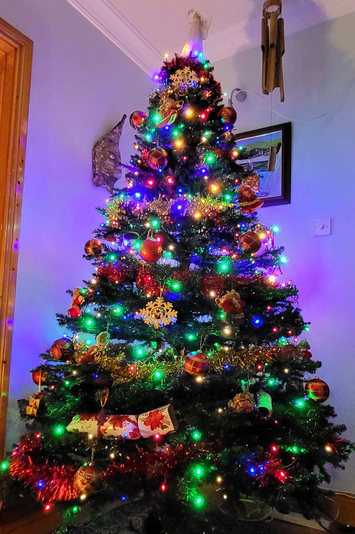 Christmas tree with colourful fairy lights, baubles, tinsel, topped by white-clad winged fairy.
