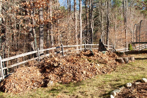 Gardens not lawns, lasagna gardening, layers