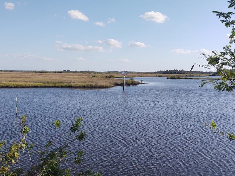 A View From The Ozello Trail