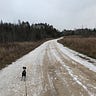 Life on a Dirt Road