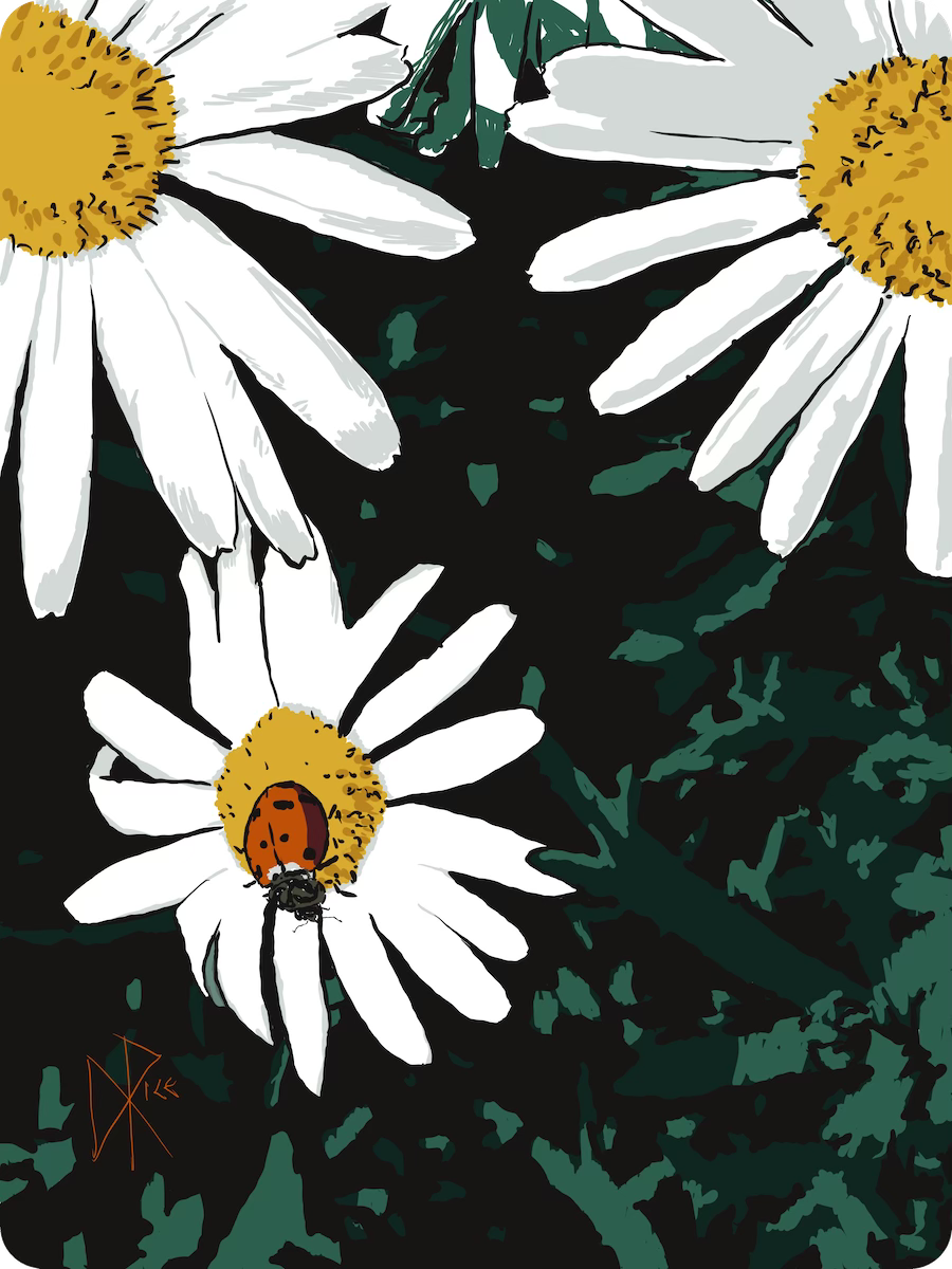 Cartoon of ladybug on the petal of a flower in the garden. Sketch art by Don Rice.