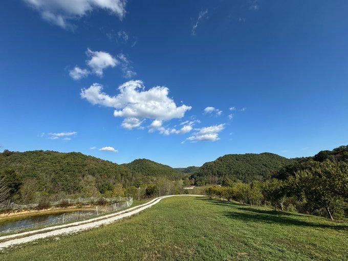 A grassy path stretches through a verdant countryside, flanked by rolling green hills and trees. A clear blue sky with scattered white clouds is visible above. A small body of water is visible to the left of the path.