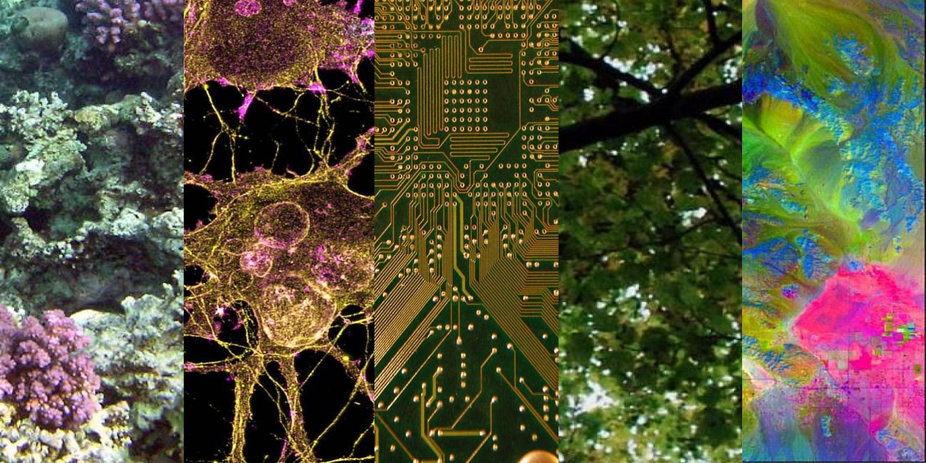 Inside the UK FRO Founder Residency with ARIA