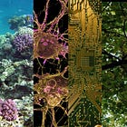 Inside the UK FRO Founder Residency with ARIA