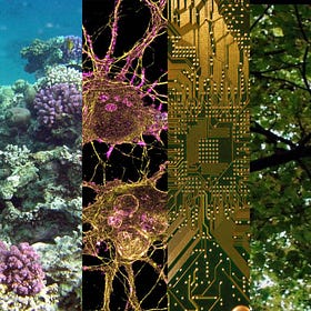 Inside the UK FRO Founder Residency with ARIA