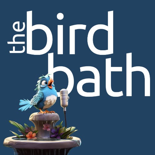 The Bird Bath