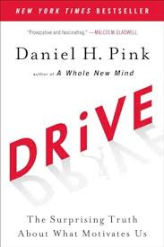Drive door Daniel Pink - Managementboek.nl