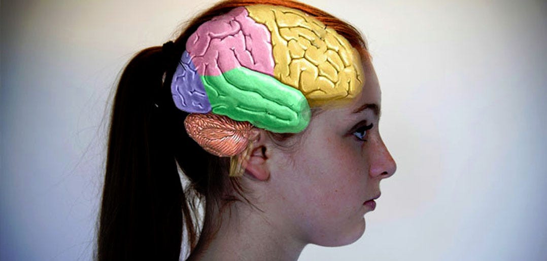 Women's brains four years younger than men's brains: study - Dailynewsegypt