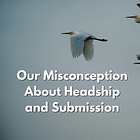 Our Misconception About Headship and Submission