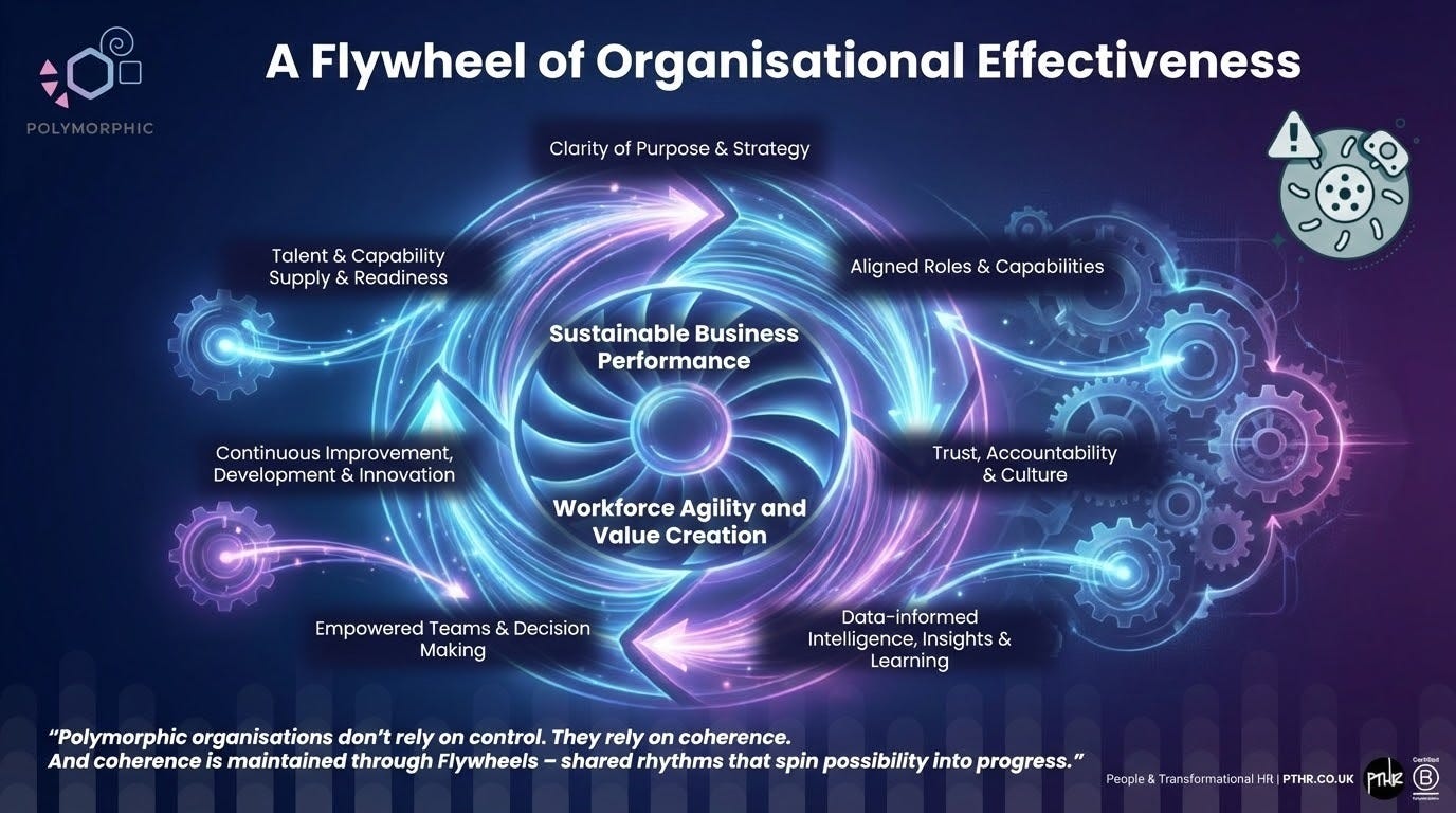 Polymorphic Organisations Part XVI - by Perry Timms